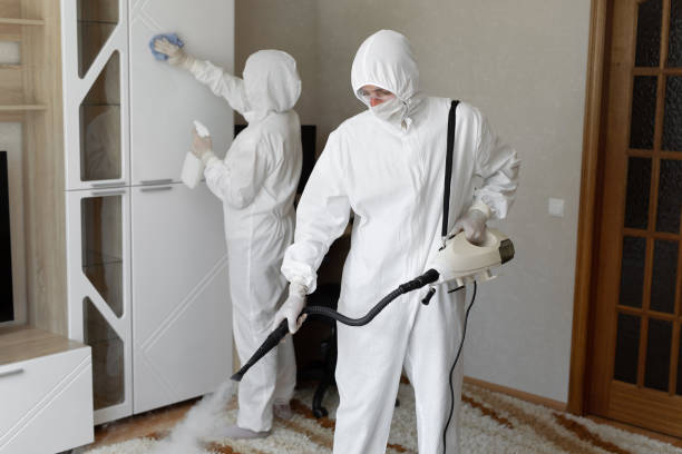 Best Certified Mold Removal  in Coralville, IA