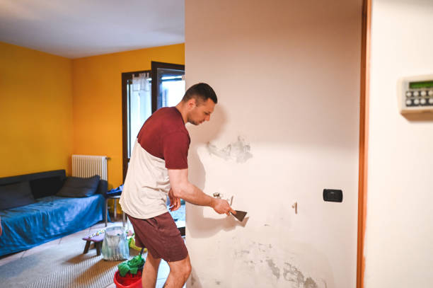 Best Black Mold Removal  in Coralville, IA